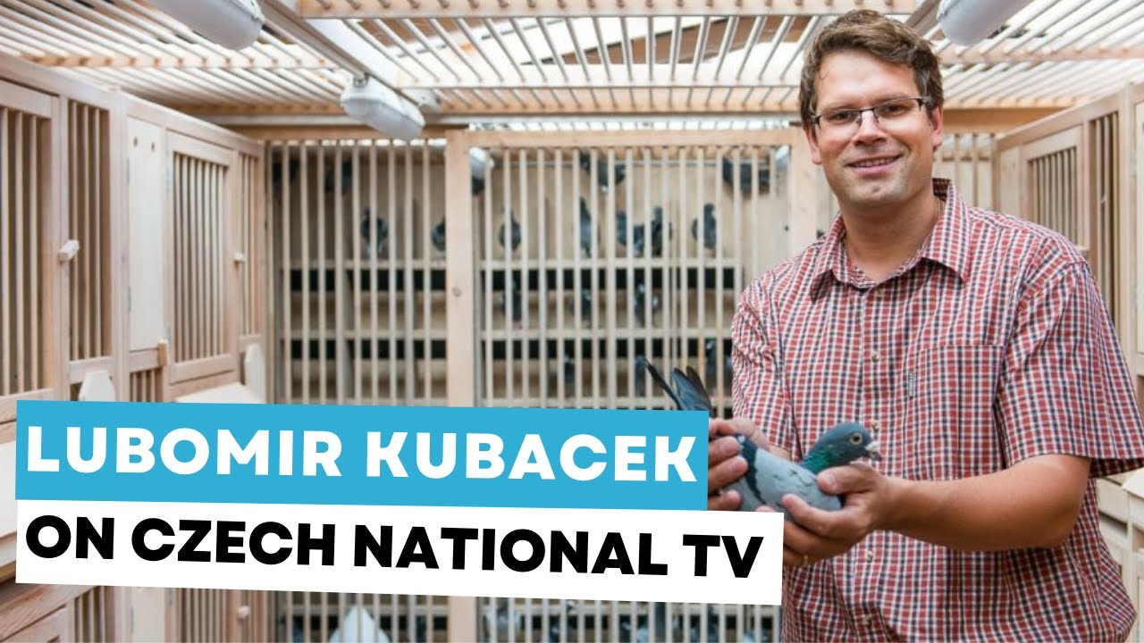 Lubomir Kubacek talks on Czech national TV about pigeon sport