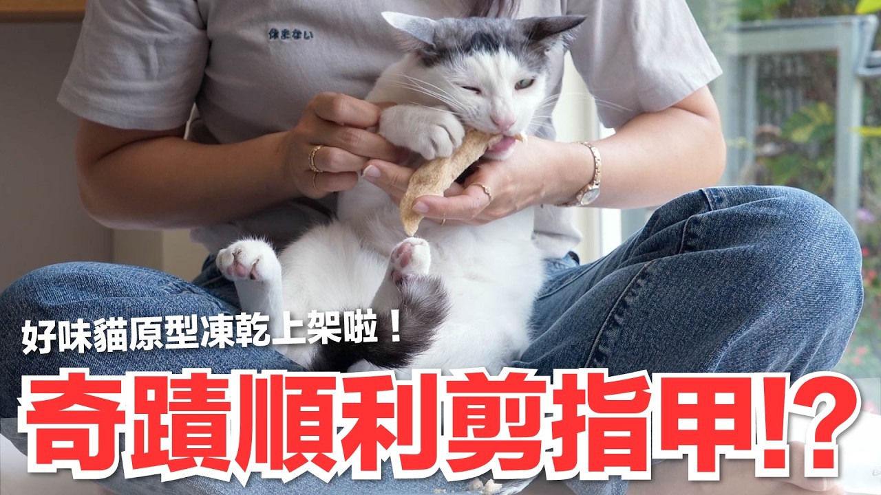 【好味小姐】奇蹟順利剪指甲！？好味貓原型凍乾上架啦！｜好味商店EP38
