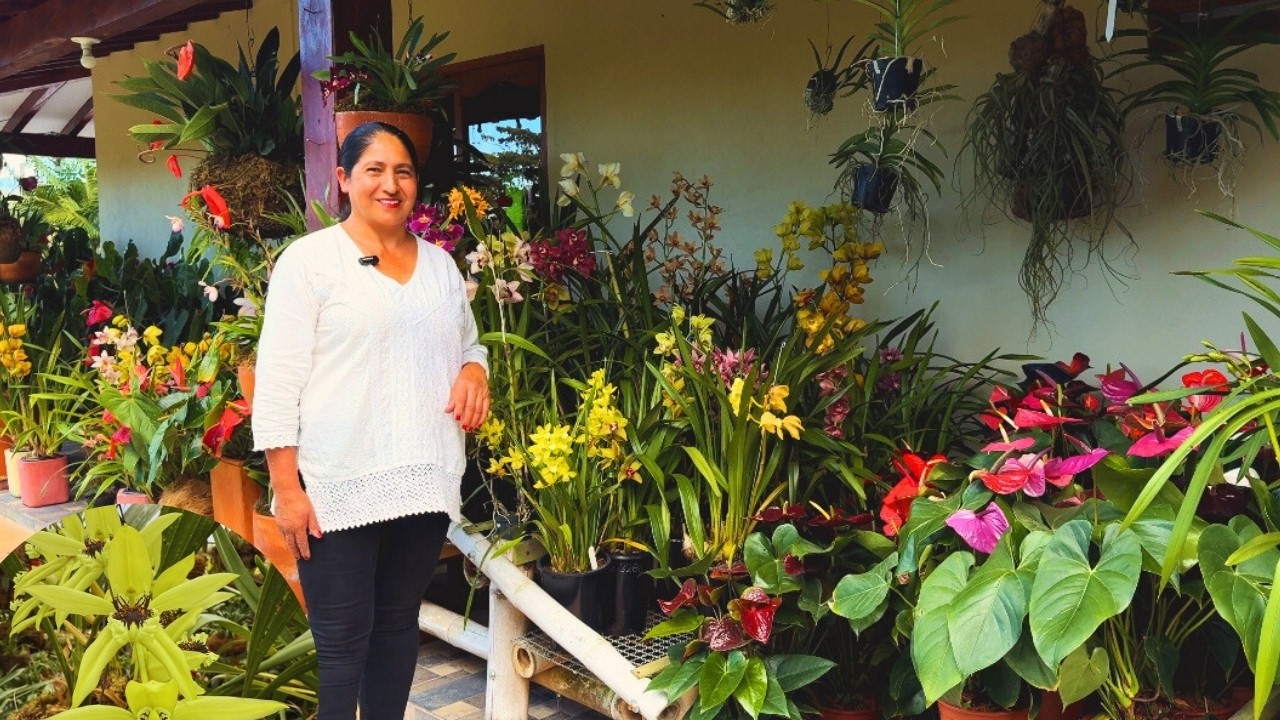 ¡Sobreviví a la HERMOSURA de este JARDÍN, así es como Rocío te vuelve loco con sus PLANTAS! |AP