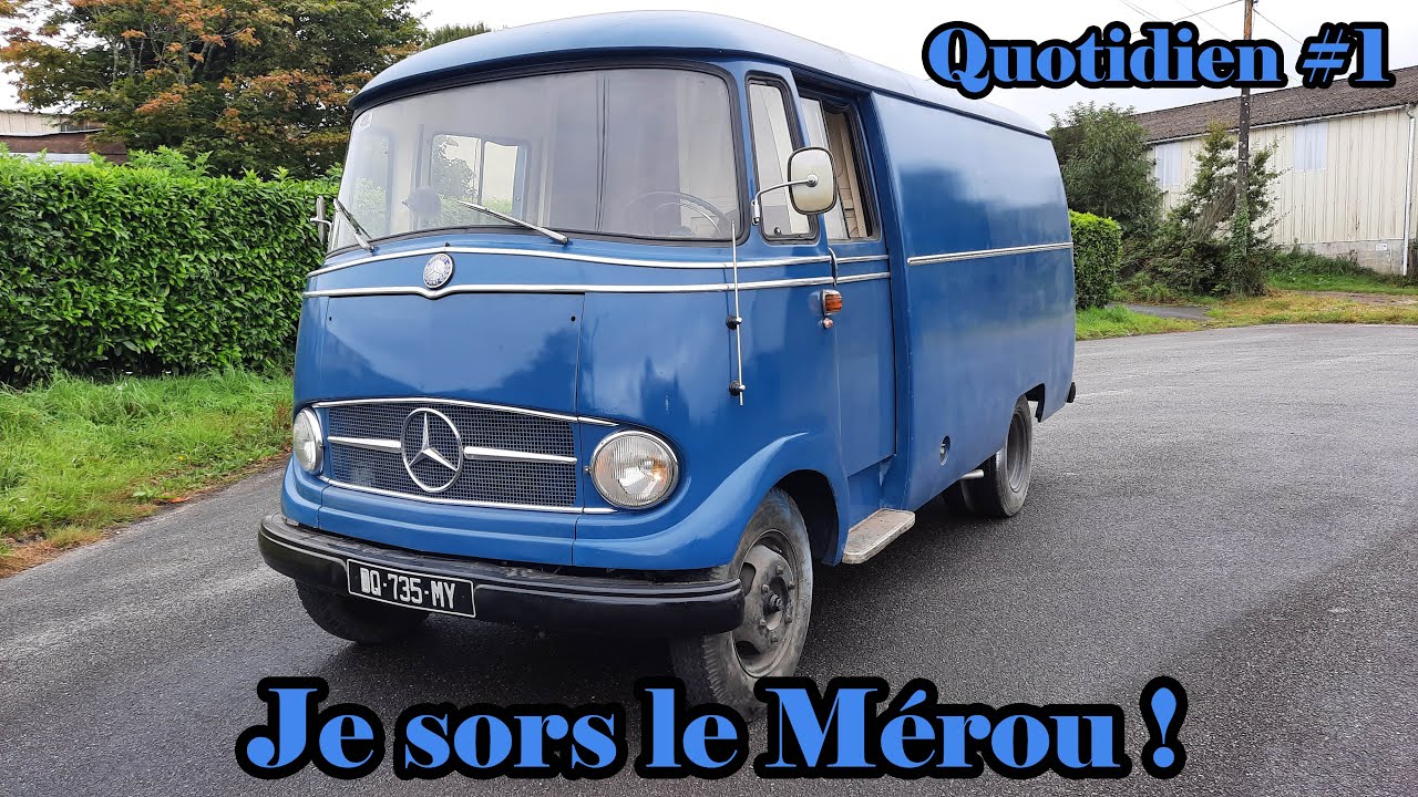 Quotidien #1 - Je sors le Mérou !