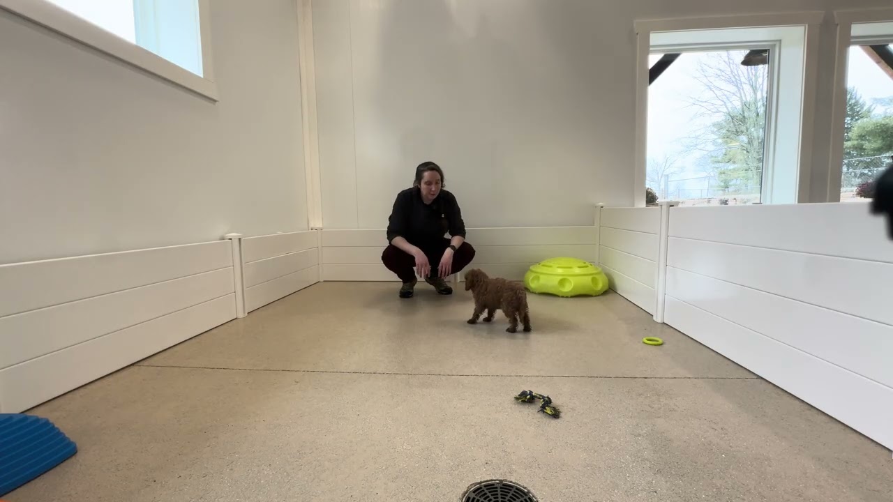 Benson Training Session 12/23