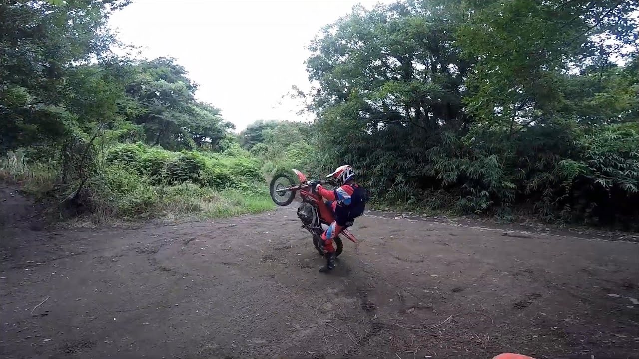 スローウィリーを練習した日