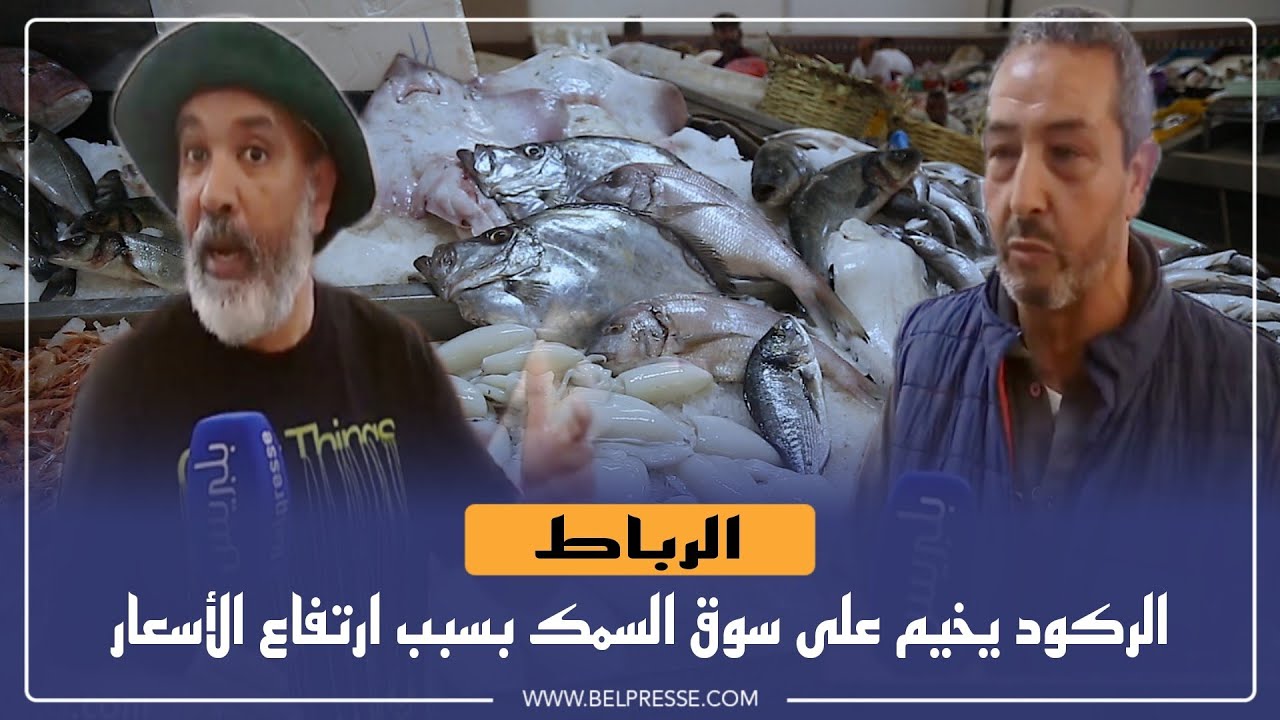 الرباط: الركود يخيّم على سوق السمك بسبب ارتفاع الأسعار
