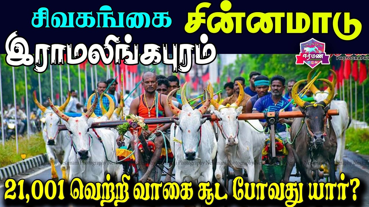 🔴LIVE(நேரலை) | ராமலிங்கபுரம்  | சிவகங்கை மாவட்டம்  |  சின்னமாடு  | பந்தயம்