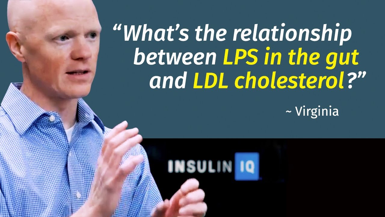 What is the relationship between LPS and LDL cholesterol, and why is it important for immune health?