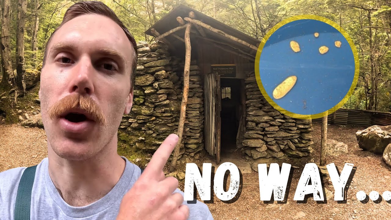 I Went Detecting at 12 Mile Creek… and Found Gold