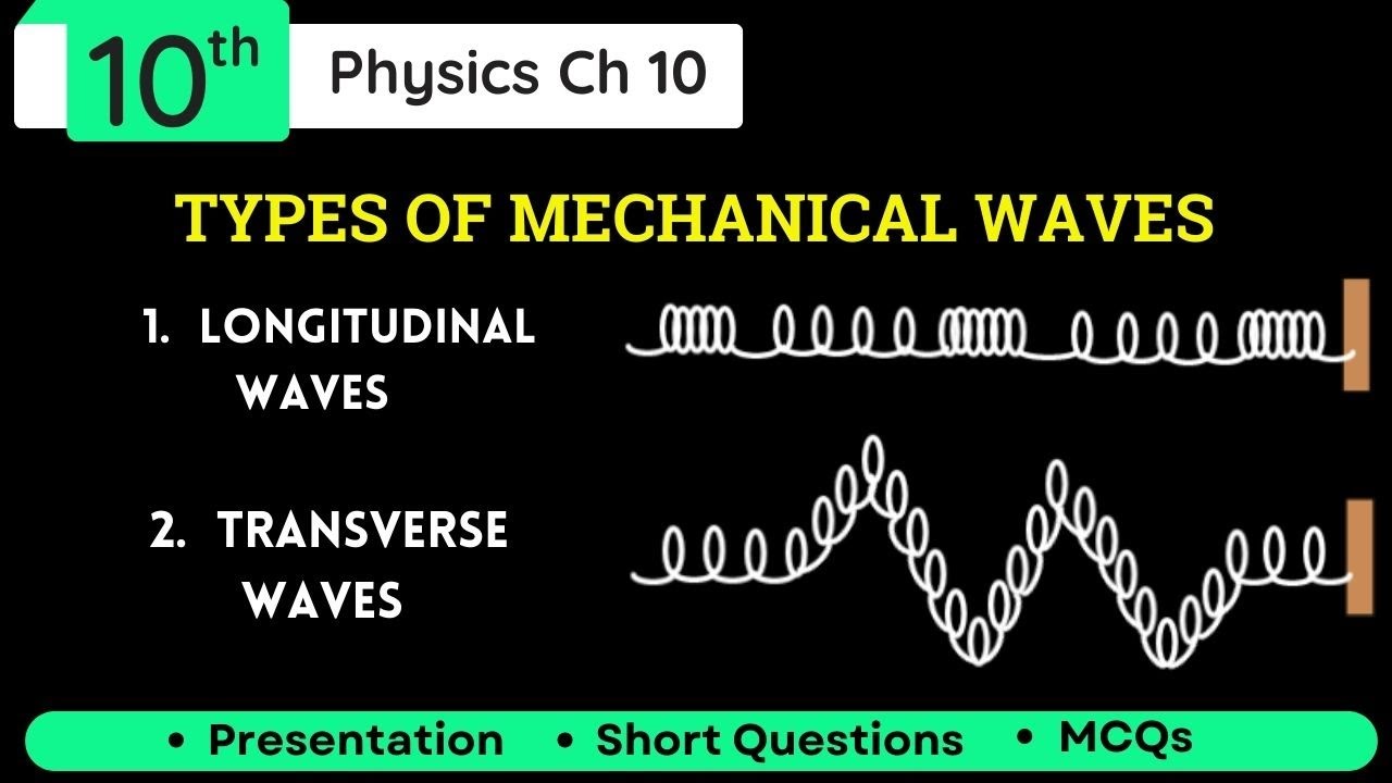Types of Mechanical Waves Class 10 Physics | Longitudinal waves and Transverse Wave 10th class