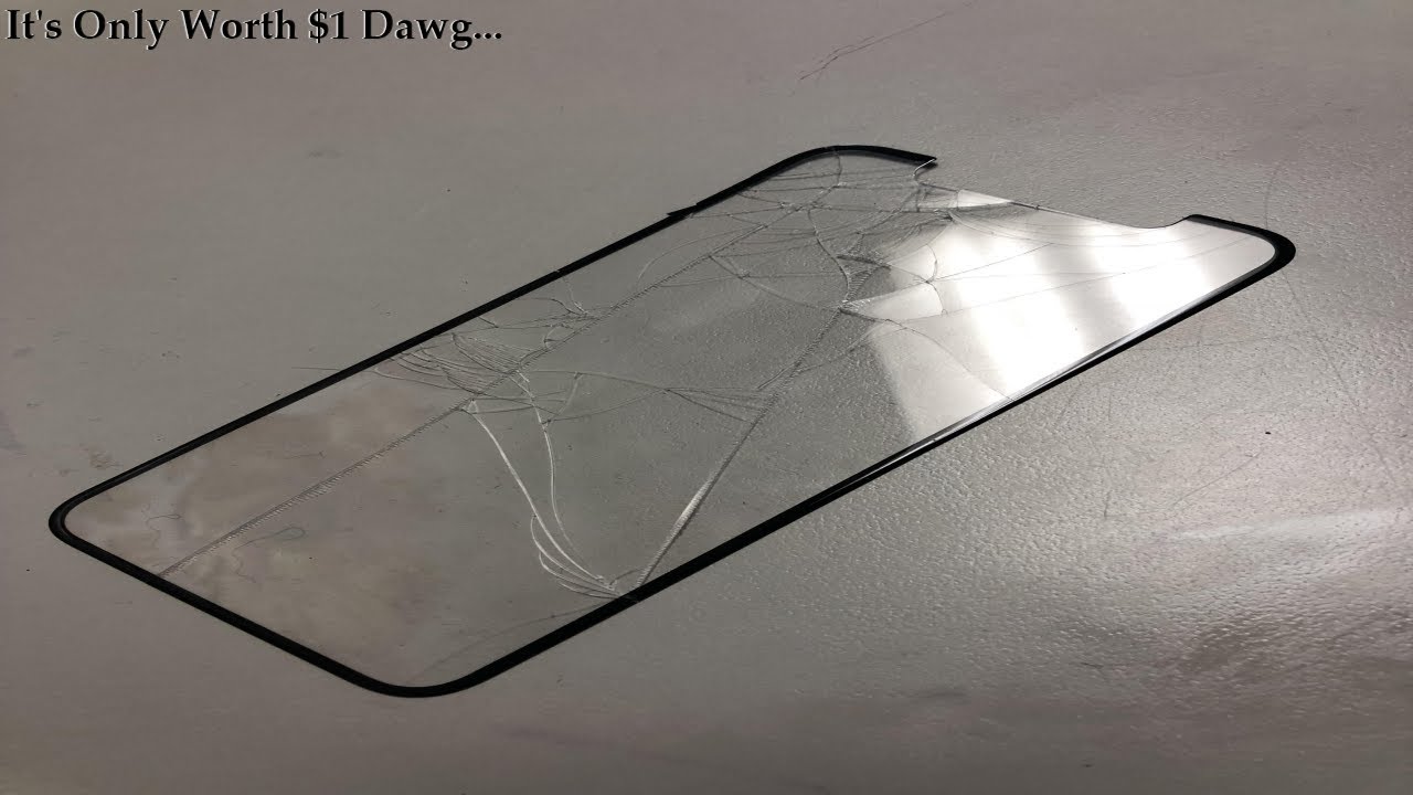 Customer goes INSANE over Screen Protector...
