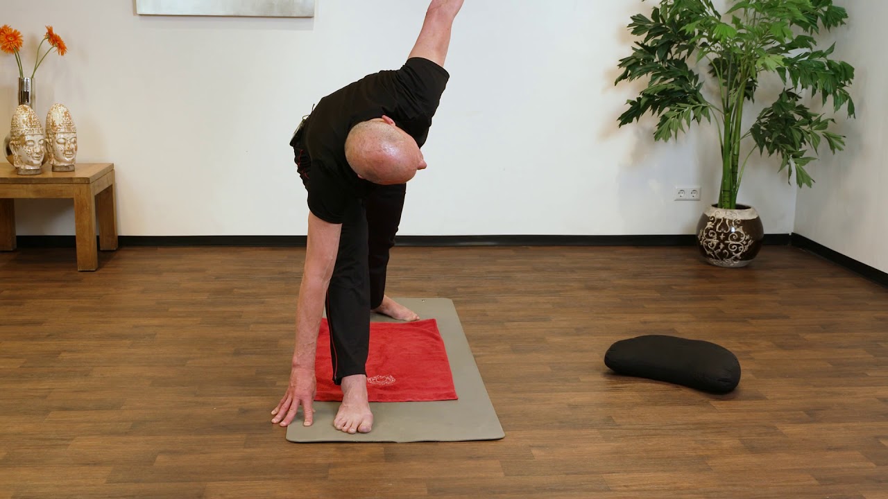 YOGA@Home 2.0