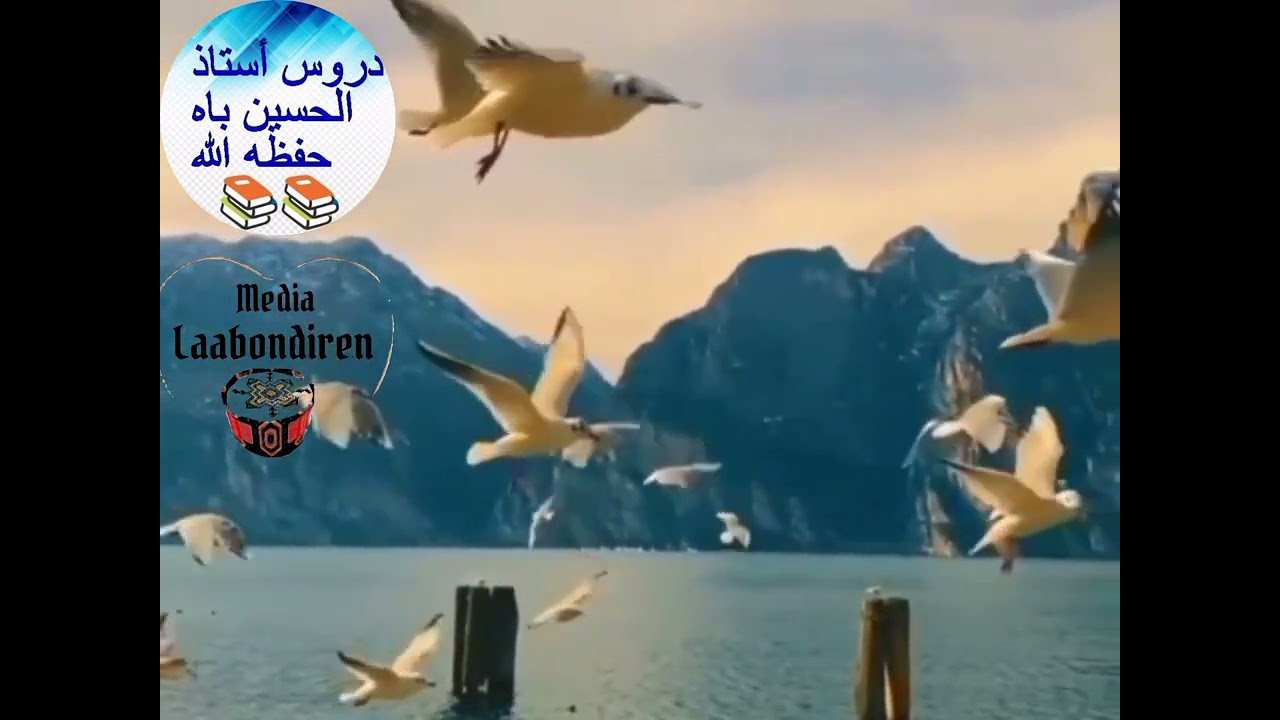 Oustaz Alhusayni Bah Dakar