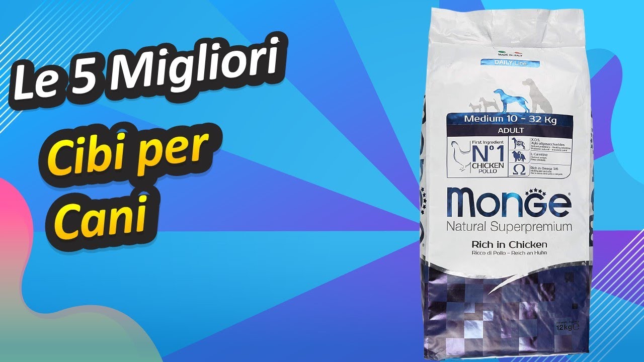 Le 5 Migliori Cibi per Cani