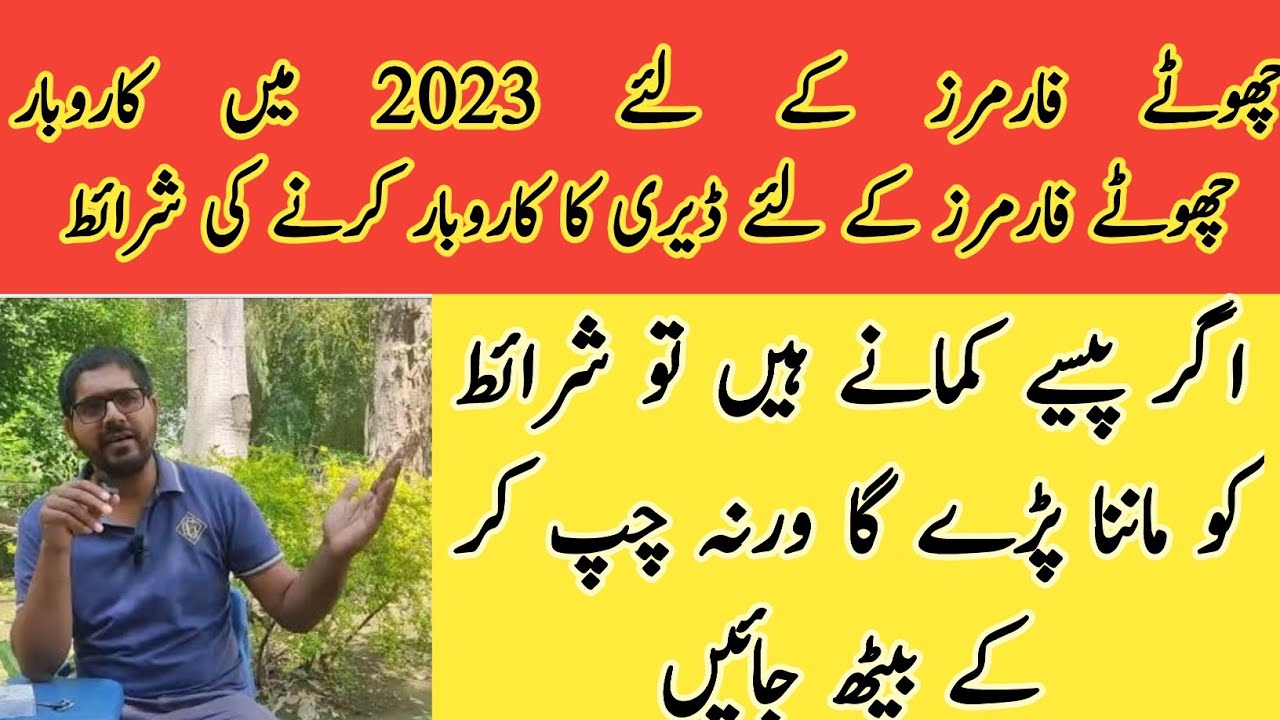 Small farmer business 2023 IISmall farmer business terms and conditions II Dairy business 2023