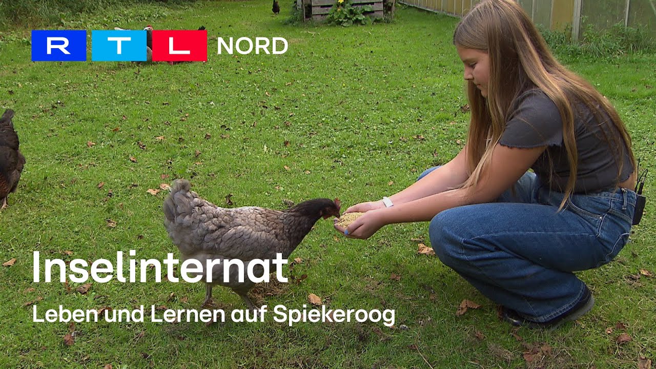 Das Inselinternat auf Spiekeroog: Tierpflege und Gemeinschaft auf der grünen Insel