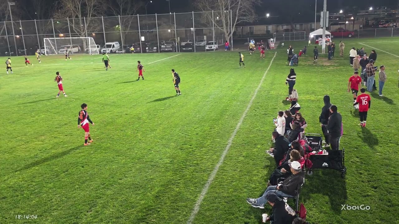 Wildcats 5 vs 0 Roosters 1-29-2026