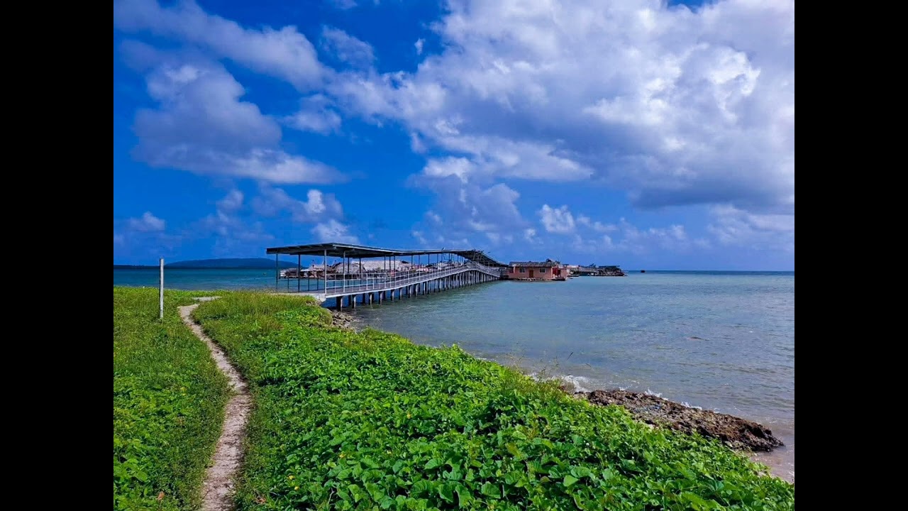 Recordando a Sasardi-Muladub