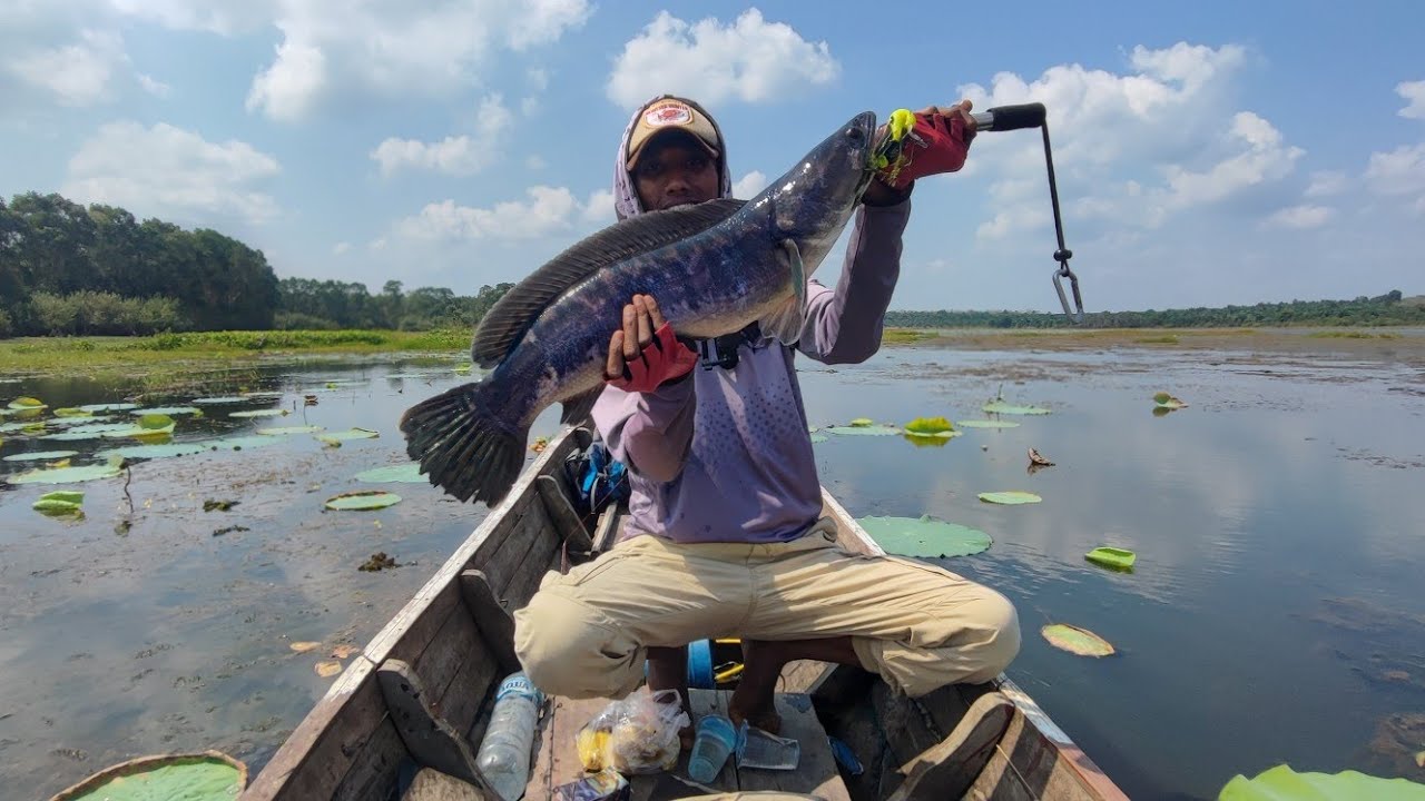 Sambaran toman danau sangat ganas 😫 perahu sampai ketarik 😰😱