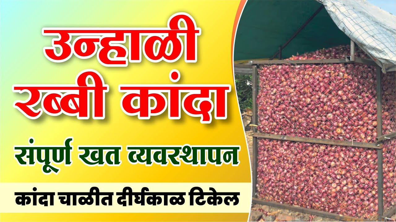उन्हाळी रब्बी कांदा संपूर्ण खत  व्यवस्थापन Unhali rabbi kanda sampurn vyavasthapan #patilbiotech