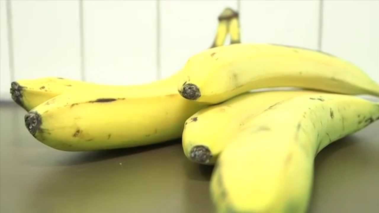 Students create gluten-free banana flour