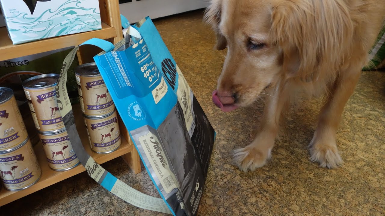 An Upcycled Backpack from a Used Dog Food Bag