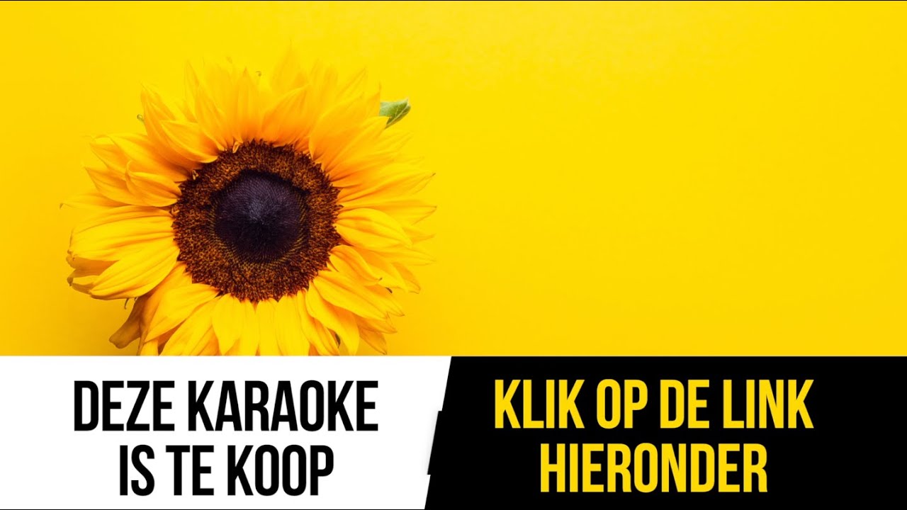 instrumentale-versie.nl showreel 2025 (instrumentaal / karaoke)