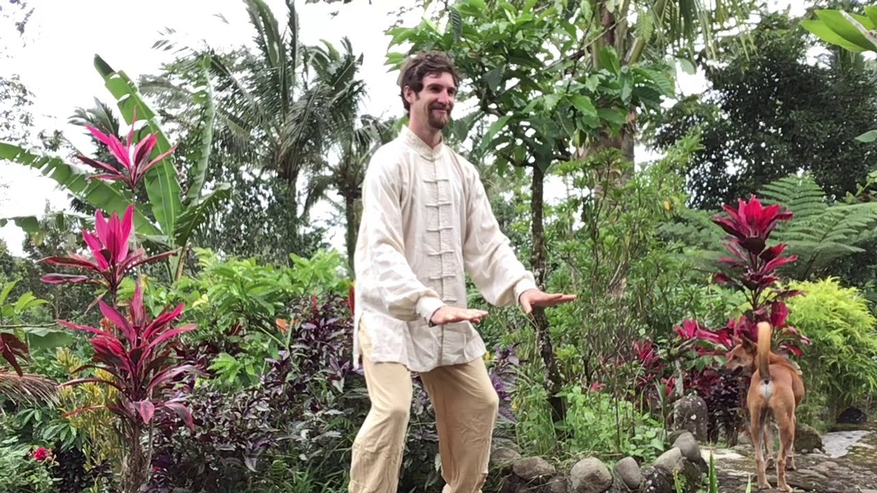 Ji Ben Qi Gong 1-4 with Music