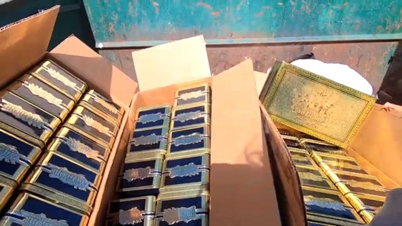 DUMPSTER DIVING- 5 FULL BOXES! IN THE DUMPSTER!