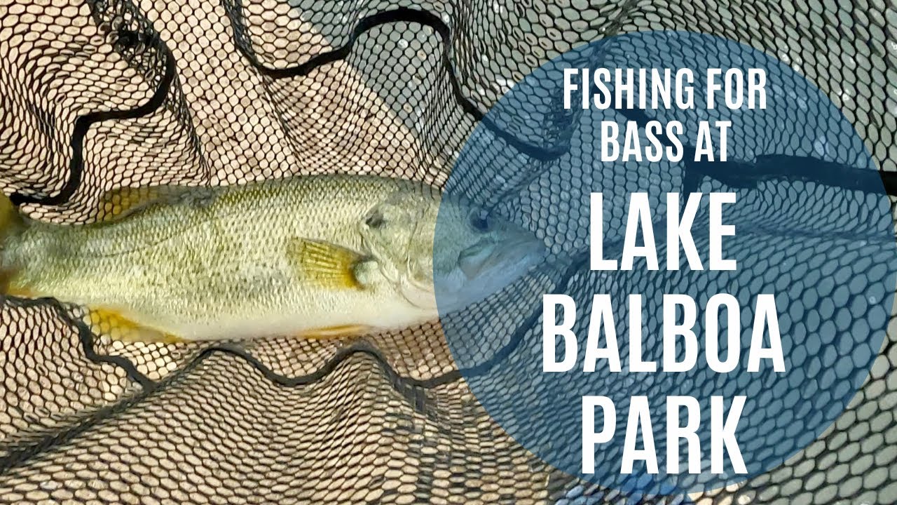 Fishing for Bass at Lake Balboa in Los Angeles | Oscar Unplugged Vlog