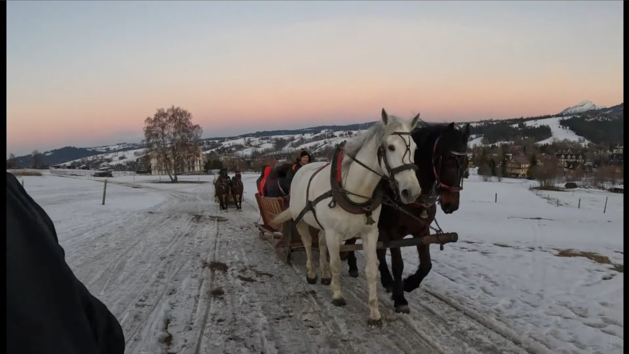 SNOWY SLEIGH RIDE: Zakopane Horse & Sleigh Journey (4K Ultra HD)