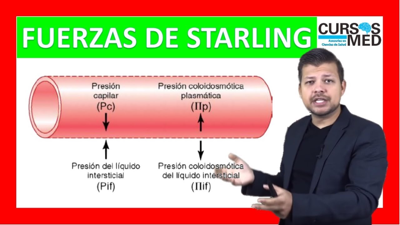 FUERZAS DE STARLING Y EDEMA explicado FÁCIL ✅.