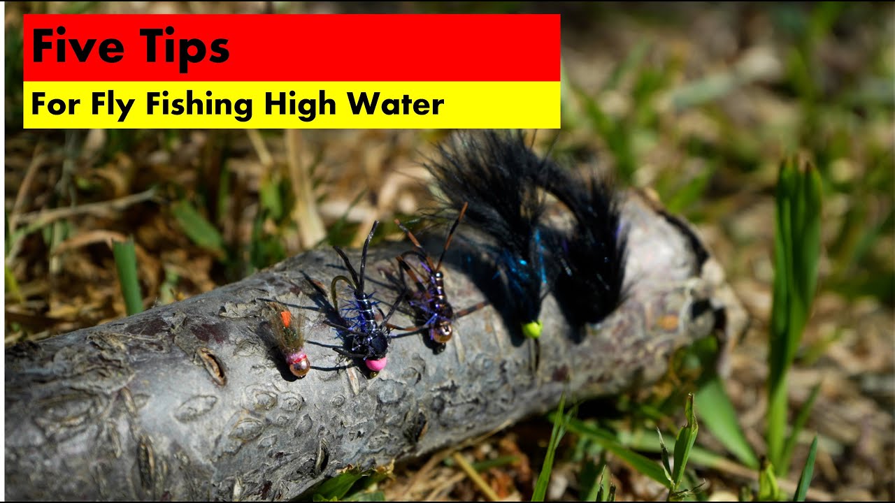 5 Tips for Fly Fishing High Water