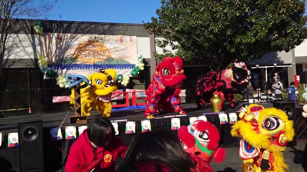 PWA at YHALE | Lion Dance Performance (2/7/26)