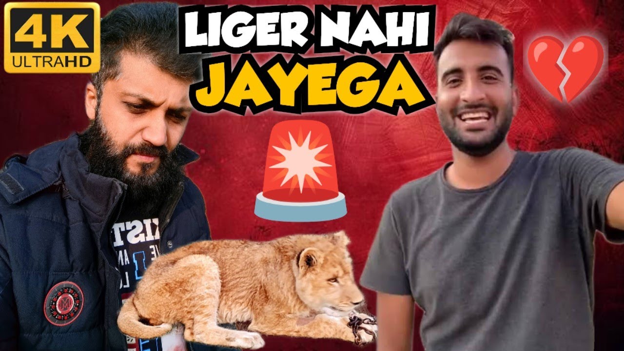 ЛИГЕР City Me Dihat Nahi Jayega‼️⁉️