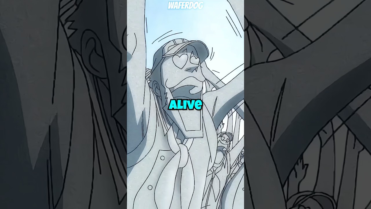 Underrated and Overrated Character of Onepiece