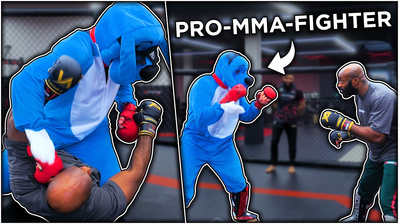 Bruder kriegt Schläge... Von 1 blauen Hund - K1-Kämpfer VS Mystery Fighter