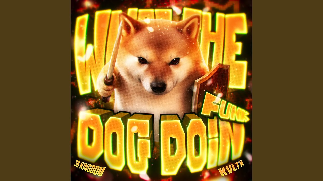 WHAT DA DOG DOIN FUNK (Sped Up)