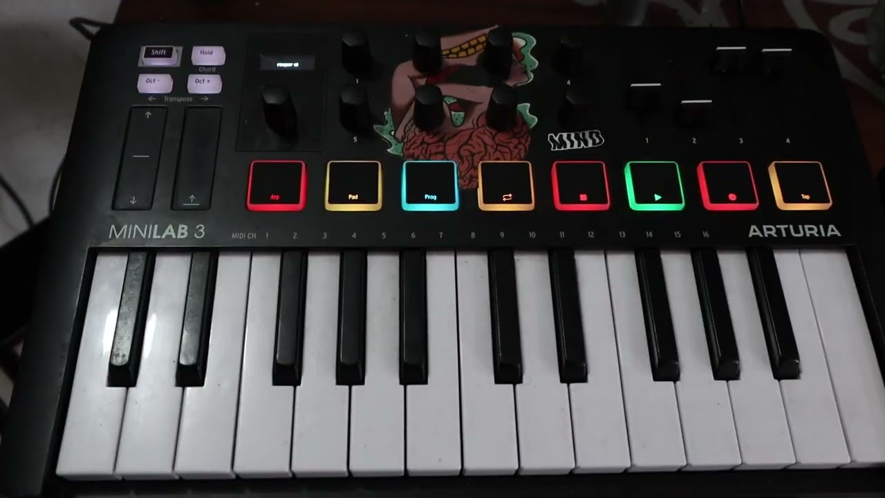 Mini explicación del estudio