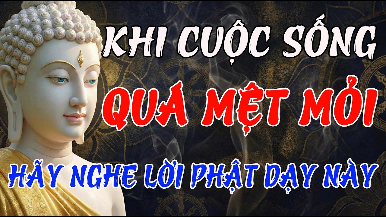 Nếu Hôm Nay Bạn Thấy Cuộc Sống Quá Khó, Hãy Nghe Lời Phật Dạy Này