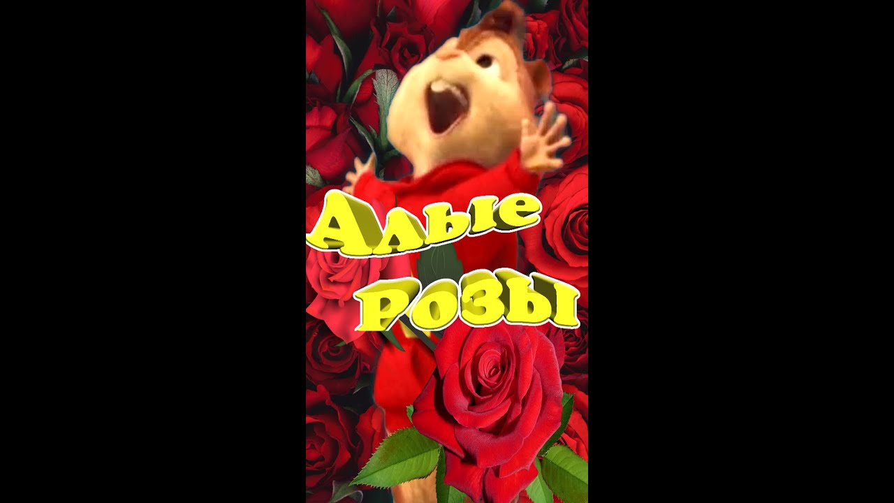 🌹Алые розы Слёзы Любви 🌹💥 Элвин Зажигает в Стиле Ласковый Май 💥 Полную версию Делать ? ✨ #Shorts