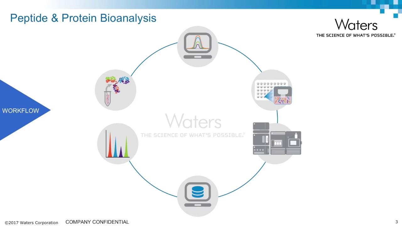 LC-MS/MS for Bioanalytical Peptide and Protein Quantification: Peptide Level Sample Clean-up