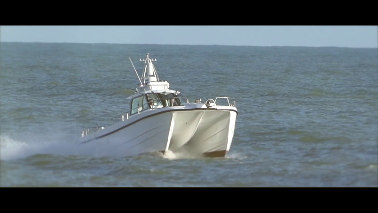 CHEETAH MARINE DREAM