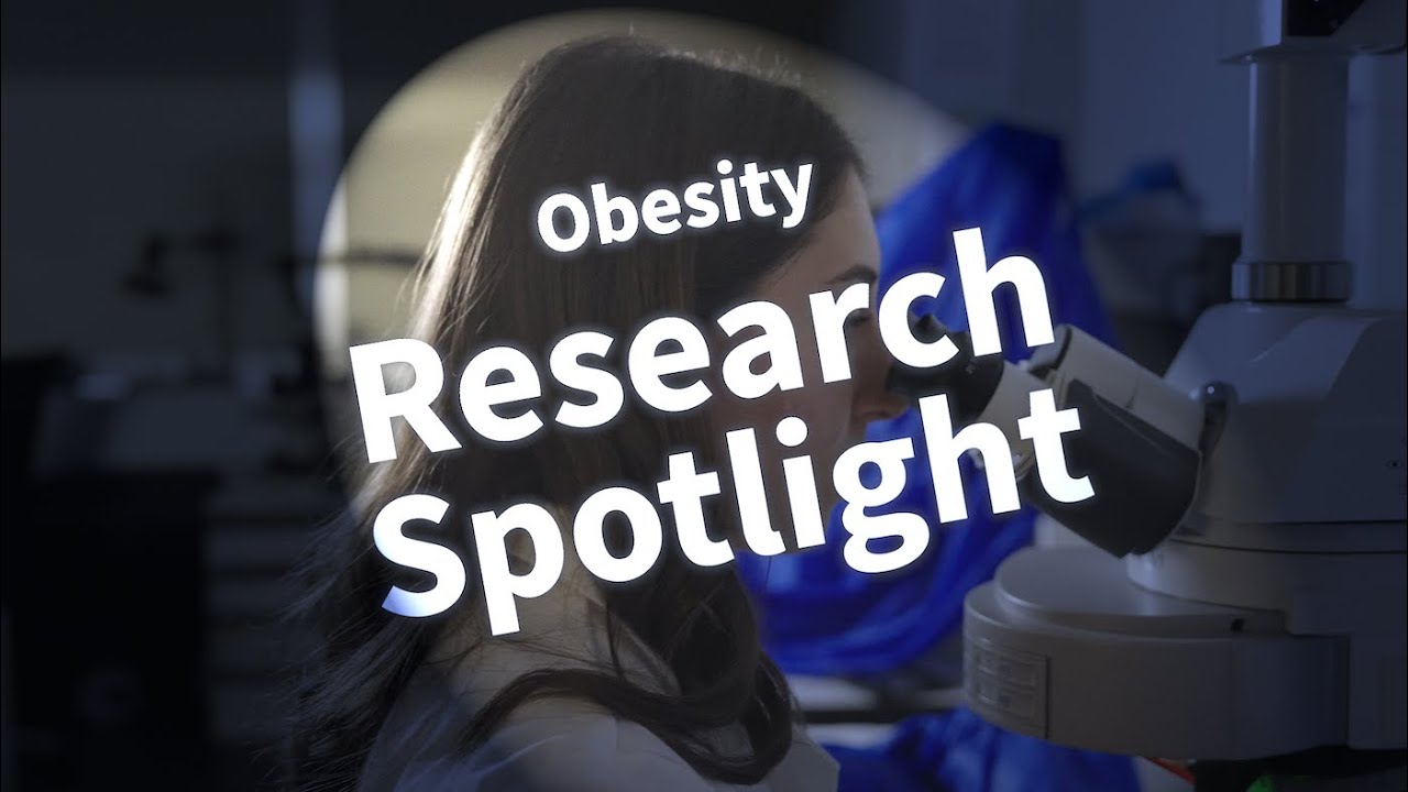 Why is the world getting fatter? | Research Spotlight