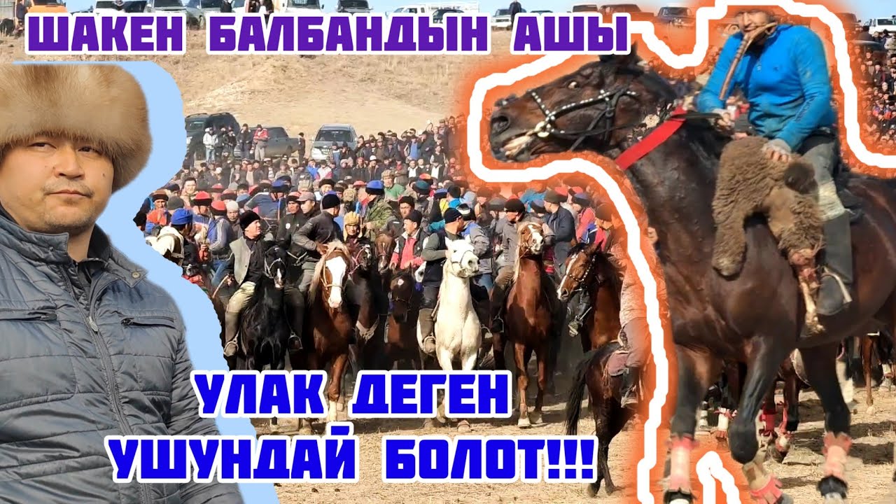 Ала Бука/ Шакен балбандын ашы/ Таза Улак ушундай болот!!!