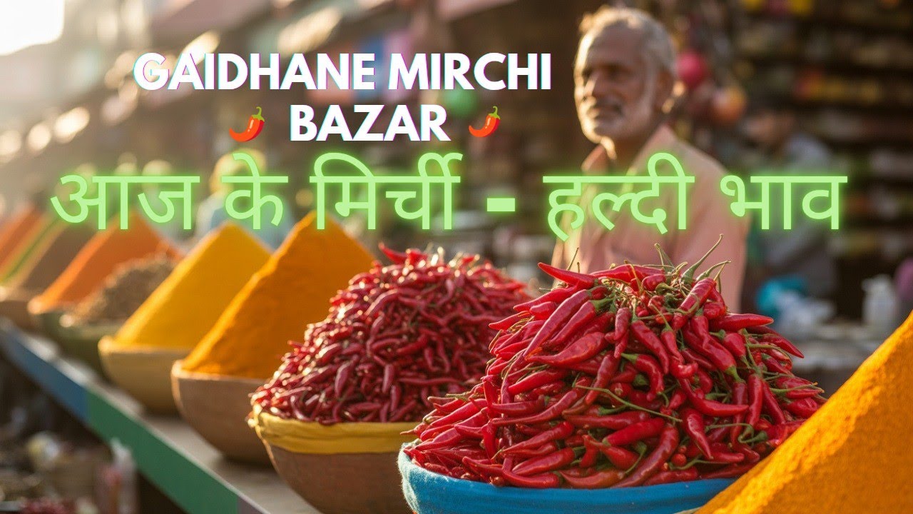 🌶️ Nagpur Gaidhane Mirchi Bazar | मिर्ची-हल्दी के Latest Rate | Masala Market