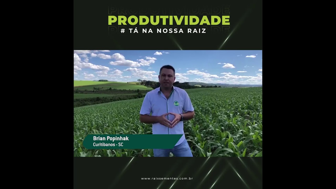 Produtividade tá na nossa raiz - Rx 520  comparativo de uma área sem Raíx. Acompanhe