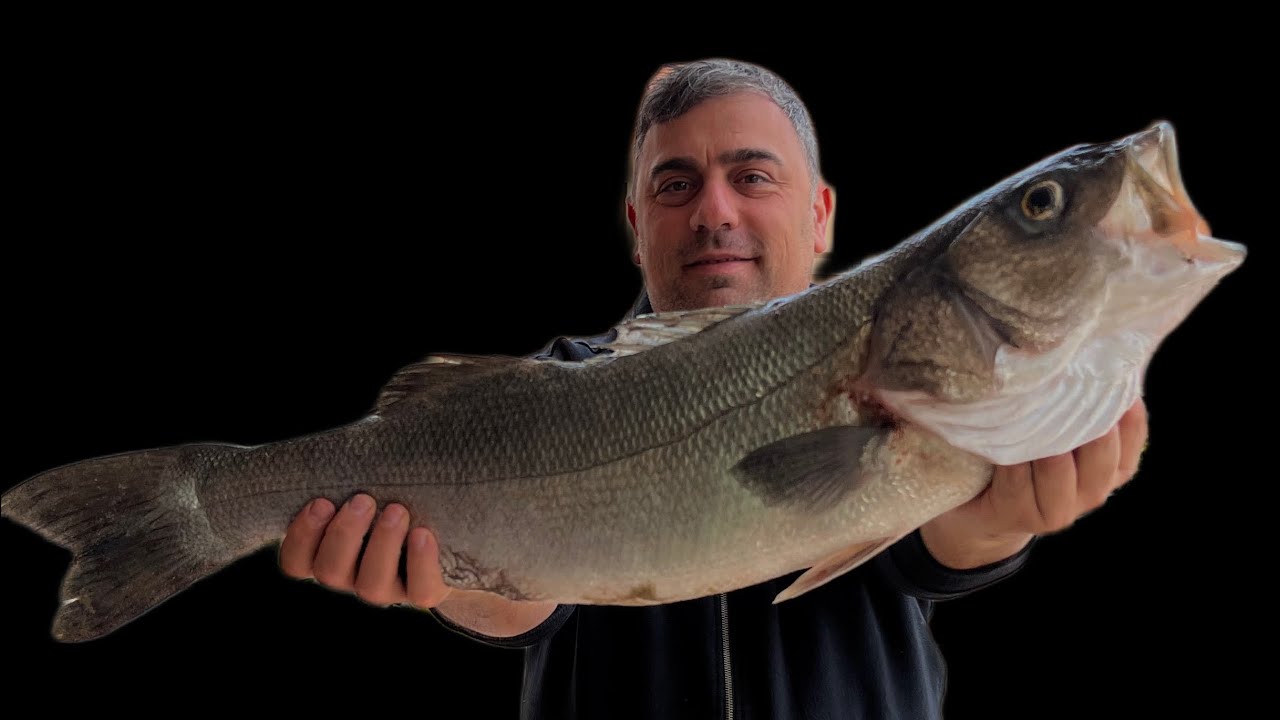 Surfcasting: dove sono finite le Spigole grosse?