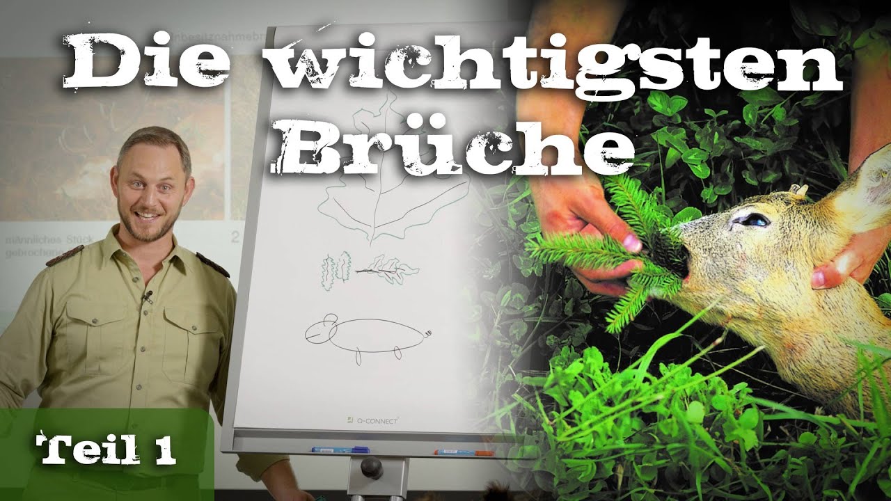 Die wichtigsten Brüche | Teil 1