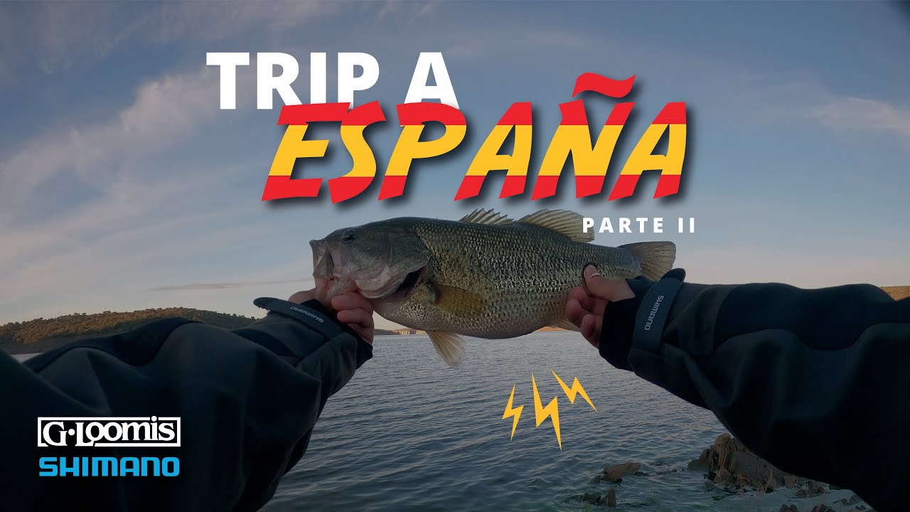 TRIP ao 