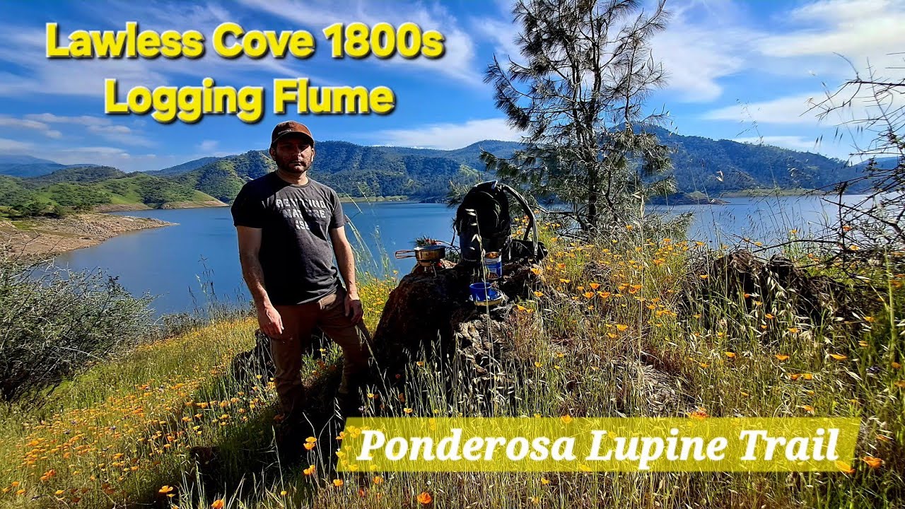 Adventure on the Ponderosa Lupine Trail: Views of Lawless Cove
