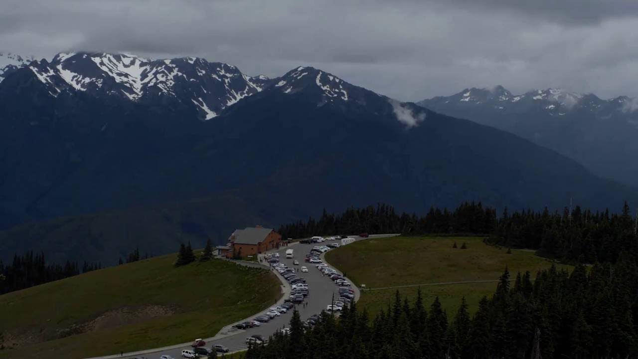 One Day on Hurricane Ridge (in Two Minutes!)