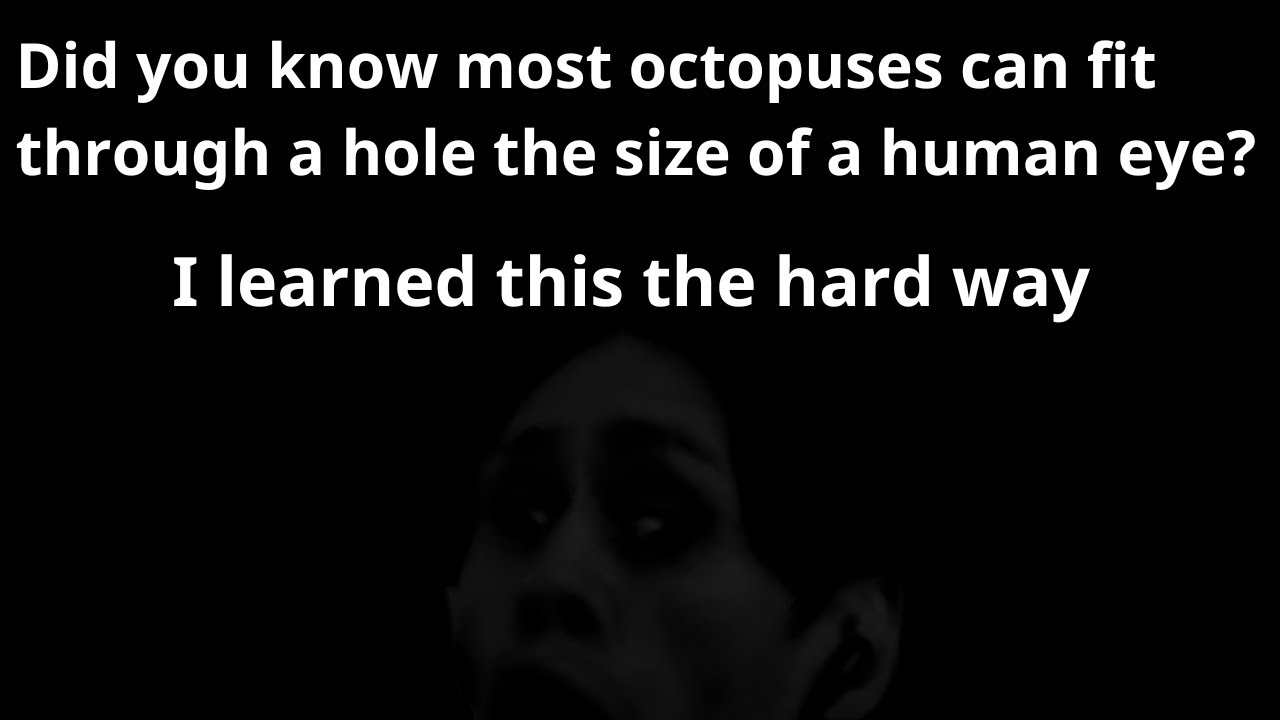 Actually Good (?) Two Sentence Horror Stories (2)